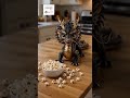 He got scared when the popcorn started popping then realized it was actually the best snack ever 🥹🐉🍿