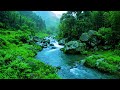 River Waterfall Flowing in a Mountain Forest 24/7. Waterfall Sounds. White Noise for Sleeping #3