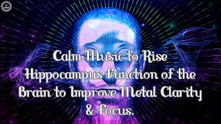 Hippocampus Function - Improve Mental Clarity & Focus | Calm Brain Music to Rise Body, Mind & Spirit screenshot 5