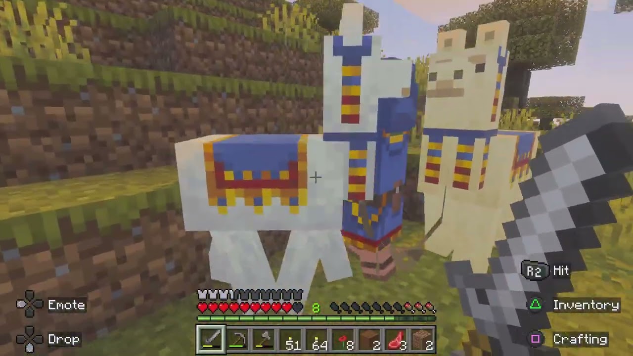 Minecraft Survivor Survival World! 5