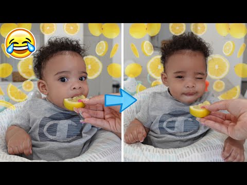 BABY SHINE EATS LEMON FOR THE FIRST TIME! *TOO CUTE*