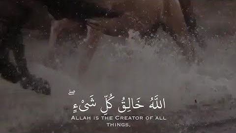 سورة النساء القارئ عمر الدريويز💙| حالات واتس اب اسلامية 🌙🎧