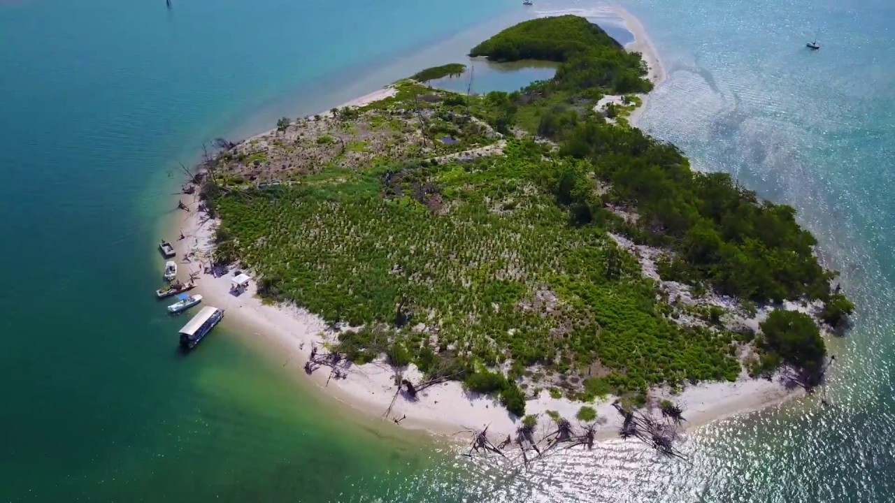 Wesley's Island (Indian River Lagoon National Estuary Program)