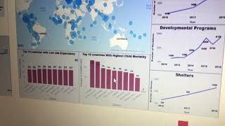 DATA2205 Presentation - Assignment 4 - Red Cross (Part 4 of 5)