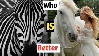 Zebra vs Wild Horse – Who’s More Wild: Wanderwildlife