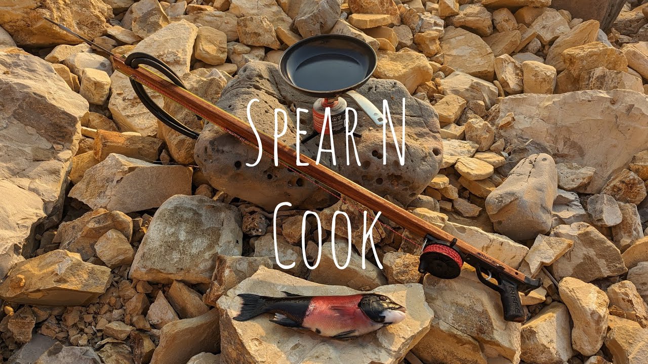 California Sheepshead Spear and cook