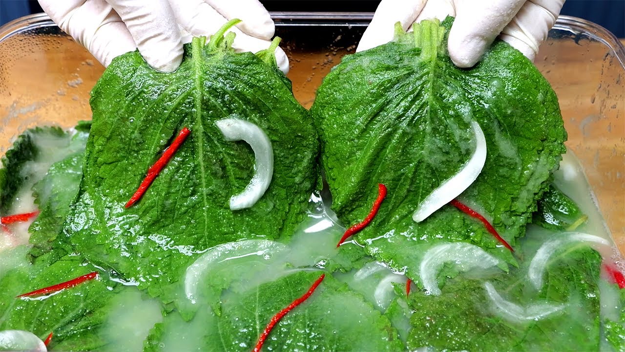 깻잎 물김치가 이렇게 맛있다니 놀랍습니다