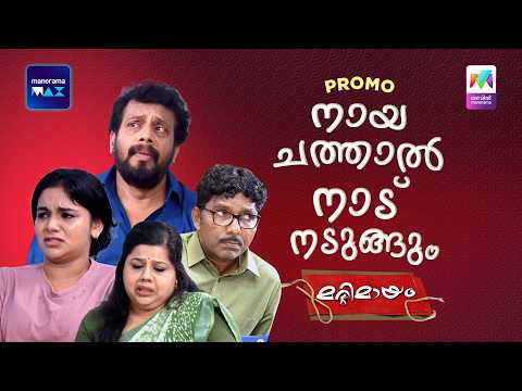 നായ ചത്താൽ നാട് നടുങ്ങും 😲 #marimayam #promo