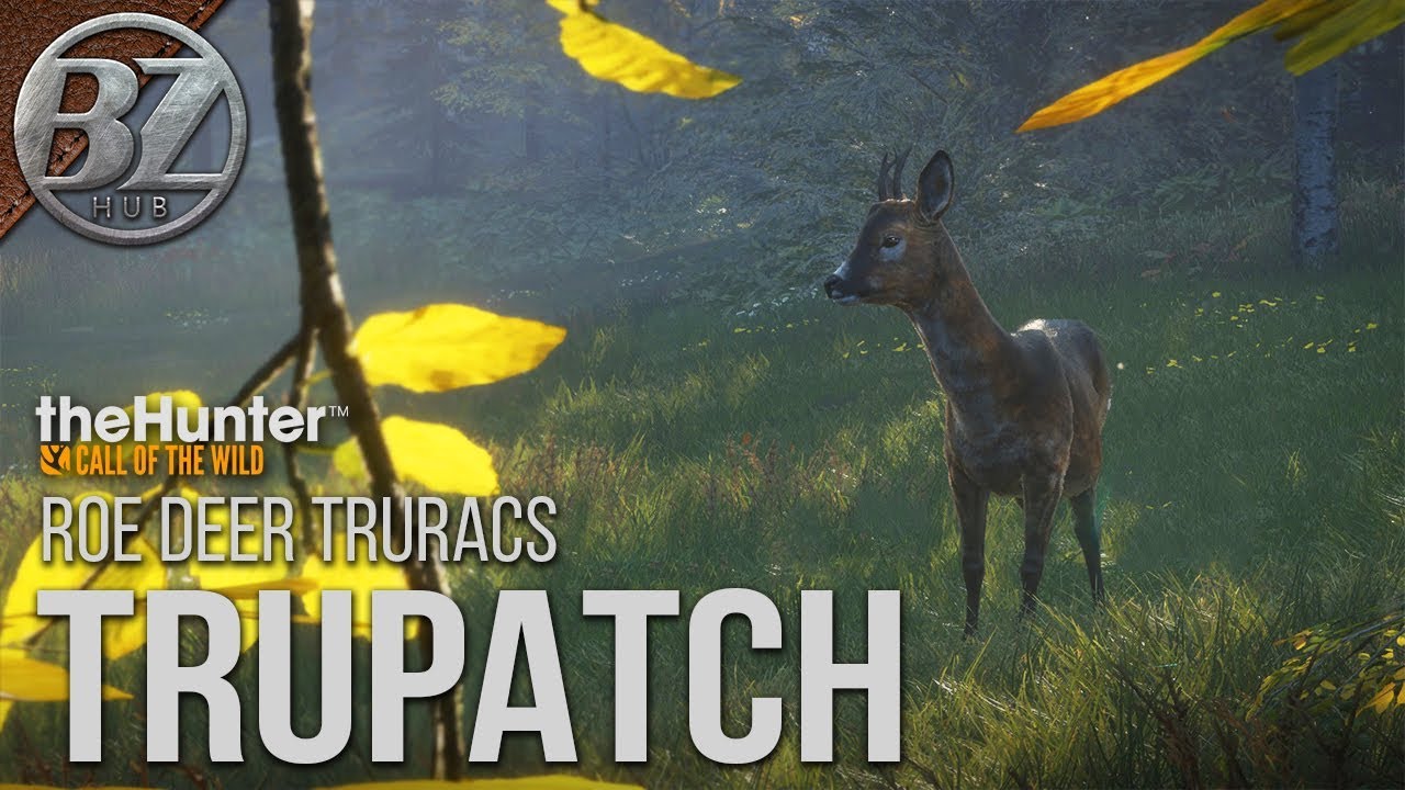 Thehunter Call Of The Wild Update
