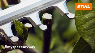 STIHL Summer Campaign 2021 - Hedge Trimmers on Promotion