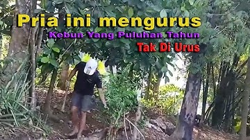 KEBUN TAK TERURUS PULUHAN TAHUN