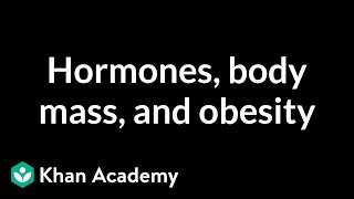 Hormones, body mass, and obesity