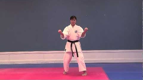 Tensho - International Hayashi-Ha Shito-Ryu