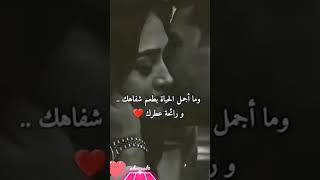 رأيكم في التعليقات متابعة حبايبي نوصل 100k💔😔 /استوريات حب /حالات واتس اب /حالات واتس حب  /