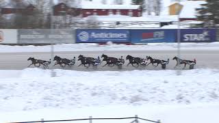 Vidéo de la course PMU LOPP 2