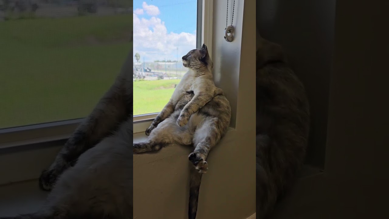 Monday morning plan. 