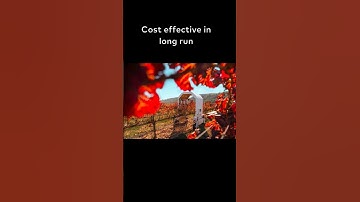 "This Robot is Transforming a VINEYARD!? See What Happens Next..."