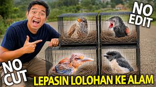 LEPASIN SEMUA LOLOHAN DI RUMAH KE LAPANGAN! GAK NYANGKA UDAH LUMAYAN JINAK! NO CUT NO EDIT!