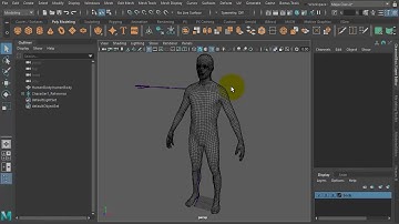 HumanIK - 4 Mirror Skeleton & Lock