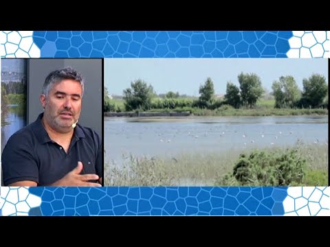La Brossa al Parc Natural del Delta de l''Ebre amposta weather