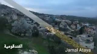 Jenin Palestine جنين فلسطين