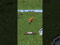 Get Rich From Fox In Minecraft...