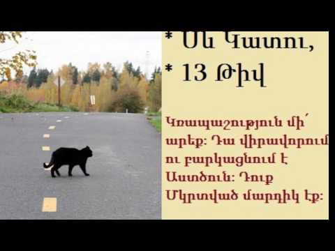Video: Սև կատու. Նշաններ և սնահավատություններ
