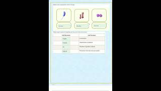 BIOS 242 UNIT 2 MODULES 1 2  3 WEEK 2 QUIZ LAB 7 PROTOZOA  BIOS 242 SOME MIDTERM QS REAL TEST QUESTI