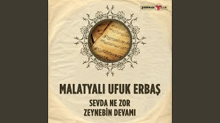 Zeynebin Devamı