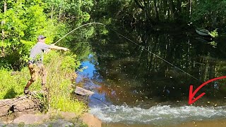 Catch BIG PANFISH on The Withlacoochee River!! This Was INSANE!!