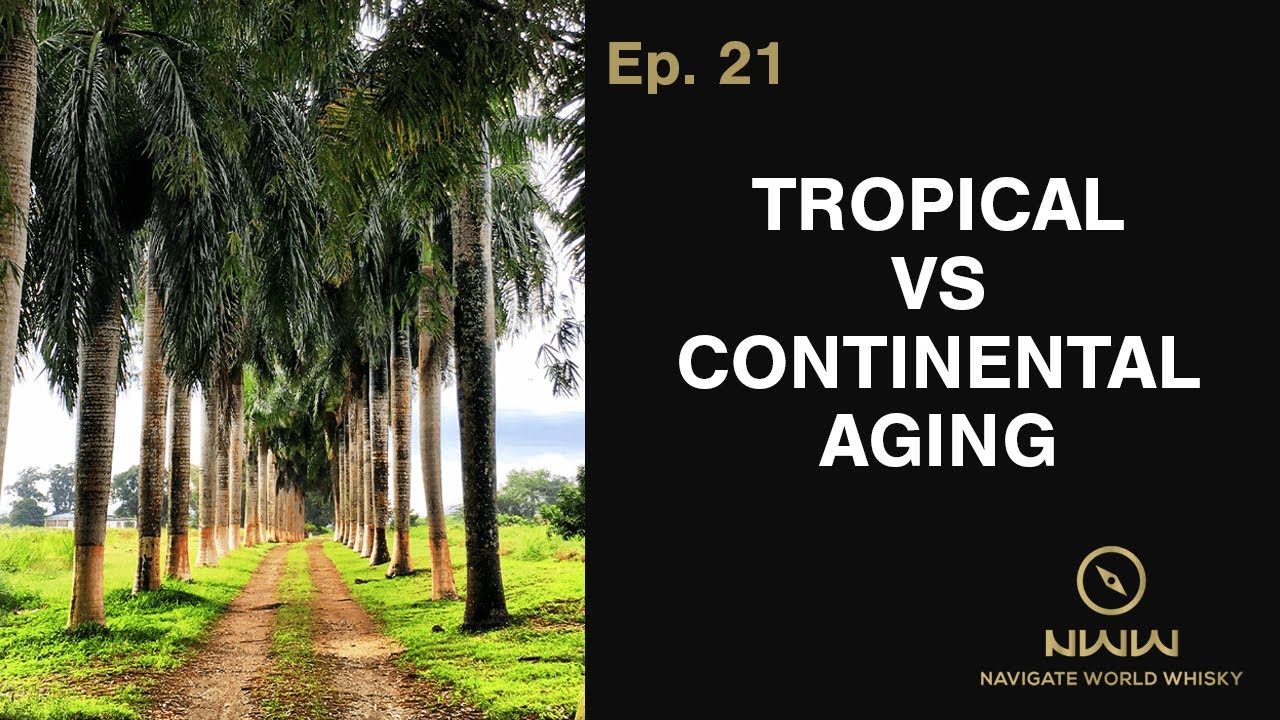 Tropical vs Continental Aging (ep.21)