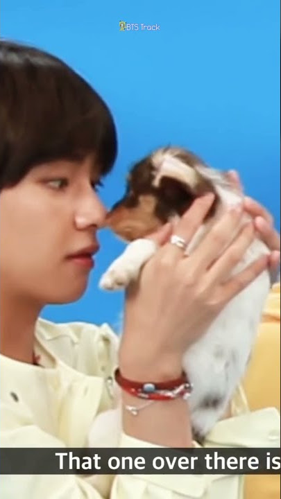 BTS V play to Puppy 🐶😍💕|| Taehyung scared puppy 😂😂😂    #shorts