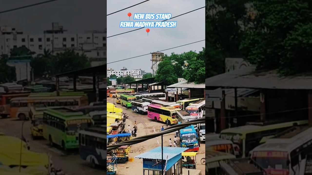 📍new bus stand Rewa Madhya Pradesh 📍