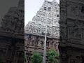 arunachalam trending #
