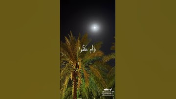 القارئ محمد صديق المنشاوي سورة الطور 🎧🤍#fyp #foryou #foryoupage #اكسبلور #لايك #قرآن