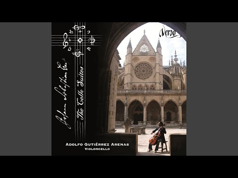 Cello Suite No. 2 in D Minor, BWV 1008: V. Menuet I-II