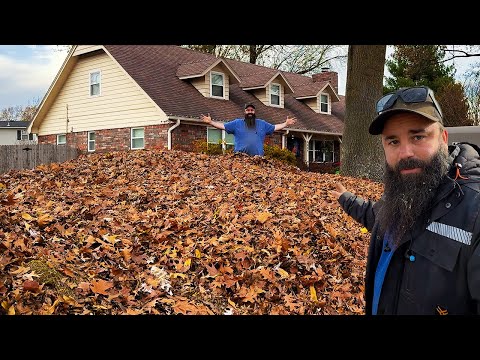 Leaf Removal Nightmare… My Daughter Didn’t Know What She Signed Up For
