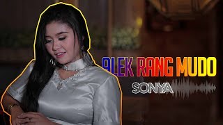 Sonia - Alek Rang Mudo ( Remix Minang Terlaris ) chords