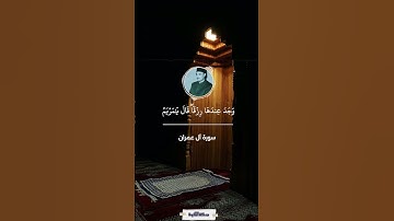 وكفّلها زكريا - سورة آل عمران - أبو العينين شعيشع #quran