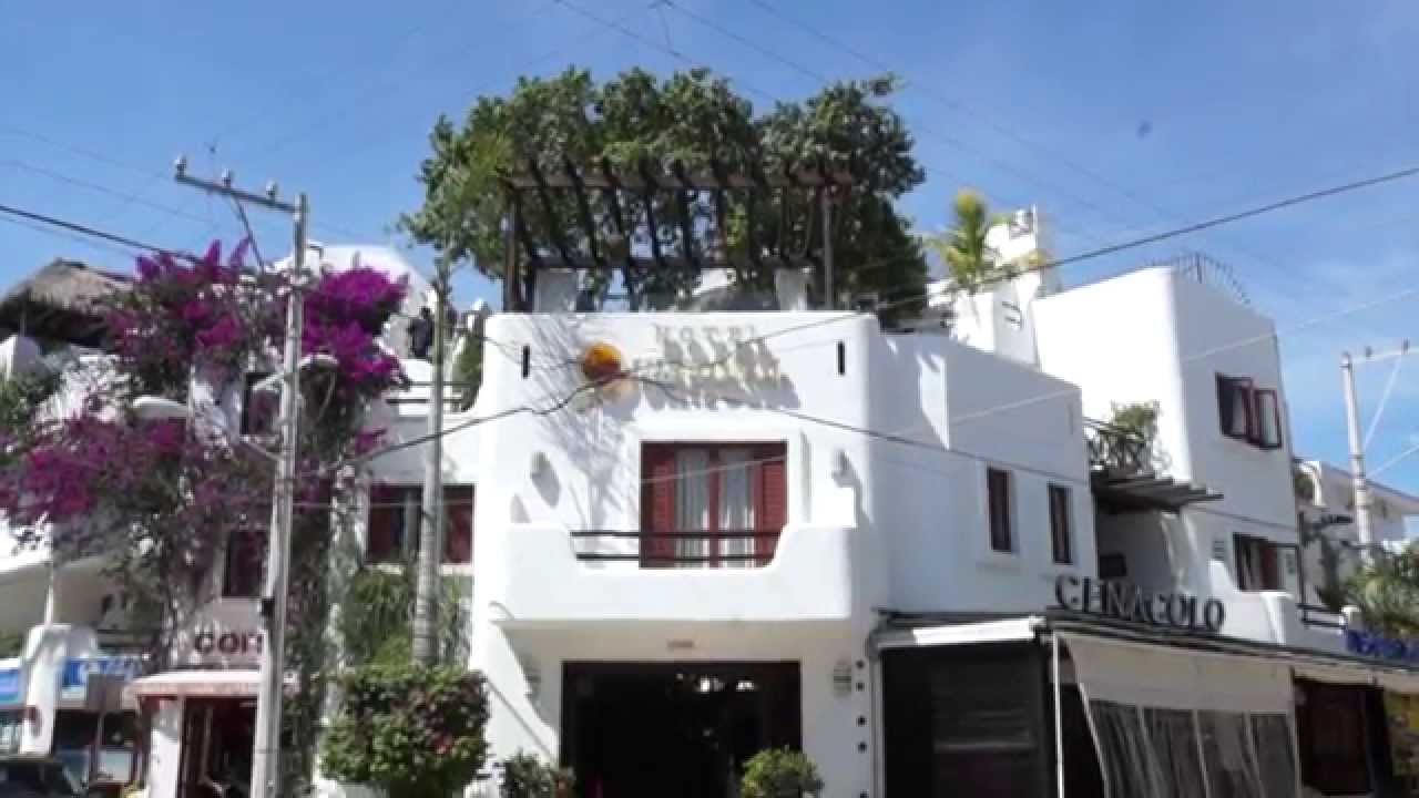 Quinto Sol Playa del Carmen YouTube