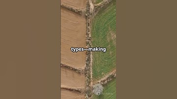 NDVI Harmony🛰️via Mathematical Modeling🧮 #sciencefather #researcher #mathematicalmodeling #algorithm