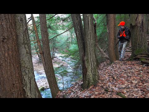 HOW TO HUNT PRESSURED DEER - HUNTING BASICS Pa Rifle Season Deer Hunting 2024 Finding Deer Best Tips
