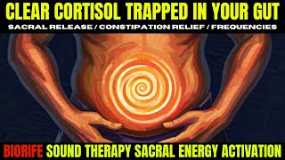Liberate emotional energy trapped in your gut - cortisol release - constipation relief sound therapy