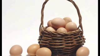 Clutch   Basket of Eggs