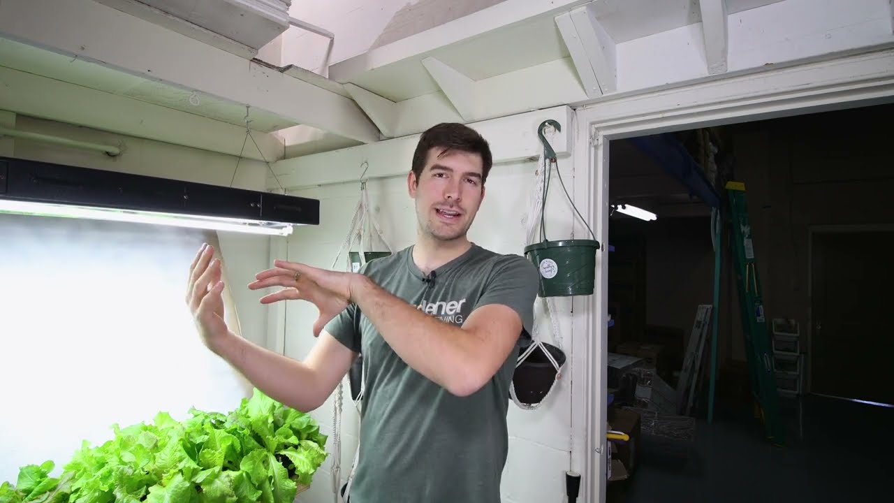 Increase the efficiency of your grow lights by 75% with these simple tips