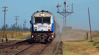 Tren a Mar del Plata 2024 + CAF entre Guido y Maipú by Andrés Jorge Gebhardt 90,034 views 3 months ago 11 minutes, 25 seconds