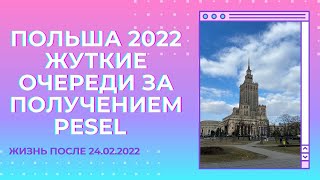 Как получить pesel бесплатно. Очереди с 2 часов ночи, украинский беспредел в Варшаве