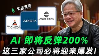 AI没有涨完，行情即将反弹!这三家公司给你跑赢大盘的机会，趁股价未动，抓紧行动，千万别错过!NVDA,APLD,ANET,UUU,IREN,MP,NBIS#trading #投資 #美股