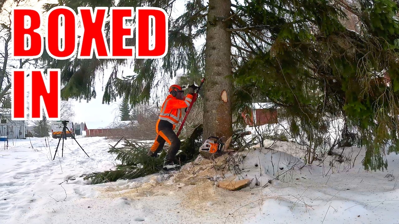 Tree Felling With Power Lines? This Changes Everything - YouTube