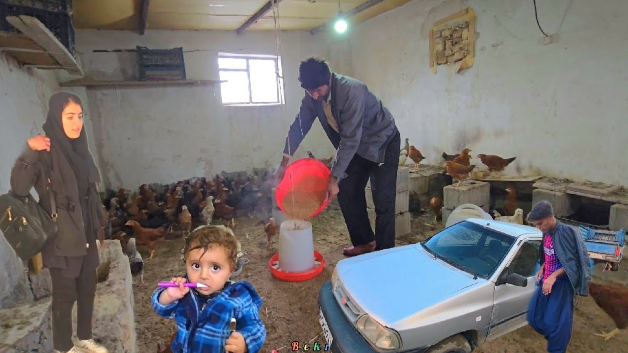 Risk and Deadly Incident: Mohammad's Attempts to Move the Pickup Truck from the Blocked Road